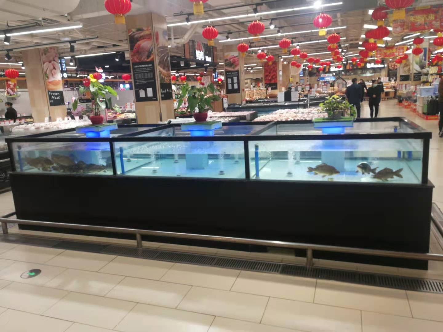  超市大型海鲜池定制